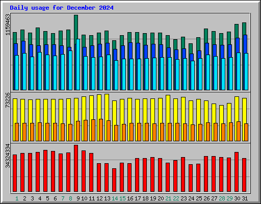 Daily usage for December 2024