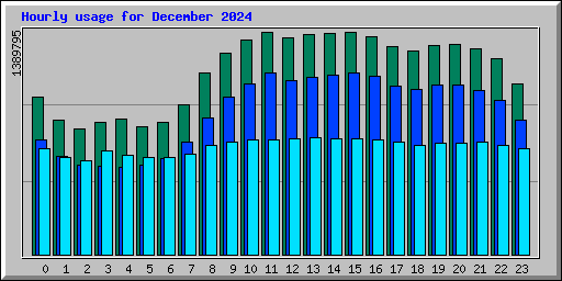 Hourly usage for December 2024